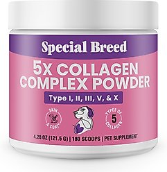 Special Breed Premium 5X Collagen Types I, II, III, V & X Powder Skin, Joint & Gut Support Supplement for Dogs, 4.28-oz jar