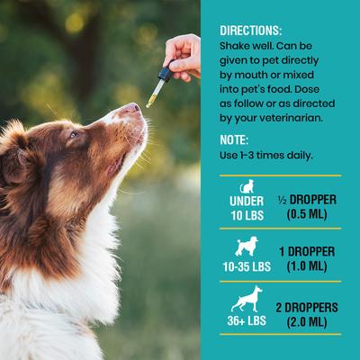 Show full view: Special Breed Liquid Allergy Relief & Immune Support Supplement for Dogs & Cats, 2-fl oz bottle slide 6 of 7