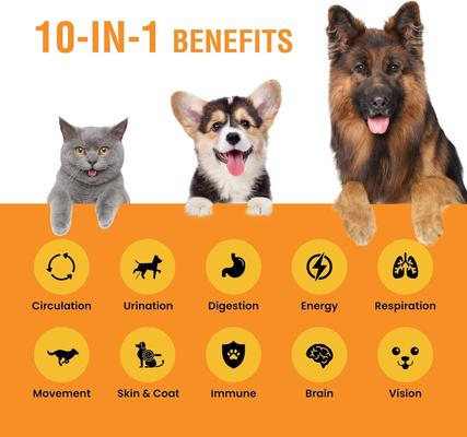 Show full view: Special Breed 10-in-1 Liquid Multivitamin Supplement for Dogs & Cats, 8-fl oz bottle slide 3 of 8