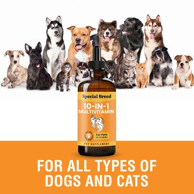 Show full view: Special Breed 10-in-1 Liquid Multivitamin Supplement for Dogs & Cats, 8-fl oz bottle slide 5 of 8