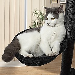 KAMABOKO Gothic 34.2-in Cat Tree with Coffin Bed, Black slide 2 of 6