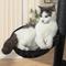 Show in main carousel: KAMABOKO Gothic 34.2-in Cat Tree with Coffin Bed, Black slide 5 of 6