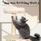 Show in main carousel: KAMABOKO 64-in Tall Wooden Cat Tree with Cat Condo, Hammock & Top Perch slide 5 of 6