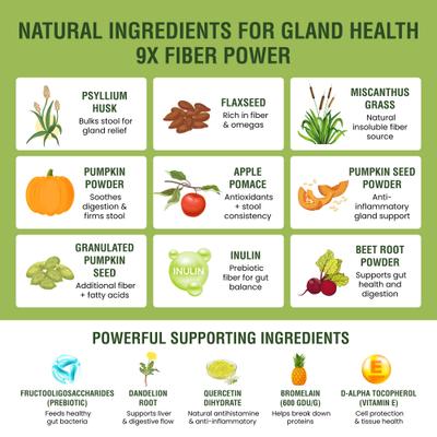 Show full view: Special Breed Anal Gland Relief Fiber Powder Digestive Aid Supplement for Dogs, 5.71-oz jar, 60 scoops slide 5 of 8