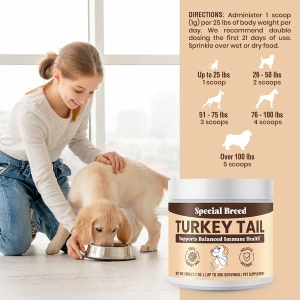 Special Breed Turkey Tail Mushroom Flavored Powder Canine Immune Support Supplement for Dogs & Cats, 7.1-oz jar
