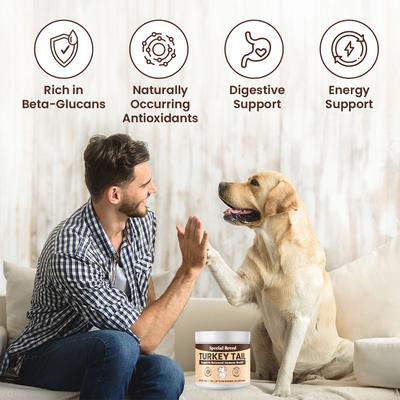 Show full view: Special Breed Turkey Tail Mushroom Flavored Powder Canine Immune Support Supplement for Dogs & Cats, 7.1-oz jar slide 4 of 9