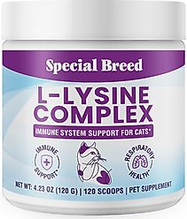 Special Breed L-Lysine Powder Immune System Supplement for Kittens & Cats, 4.23-oz jar, 120 scoops slide 1 of 7