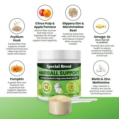 Show full view: Special Breed 10 Super Ingredients Powder Hairball Support Supplement for Cats, 2.54-oz jar slide 3 of 8
