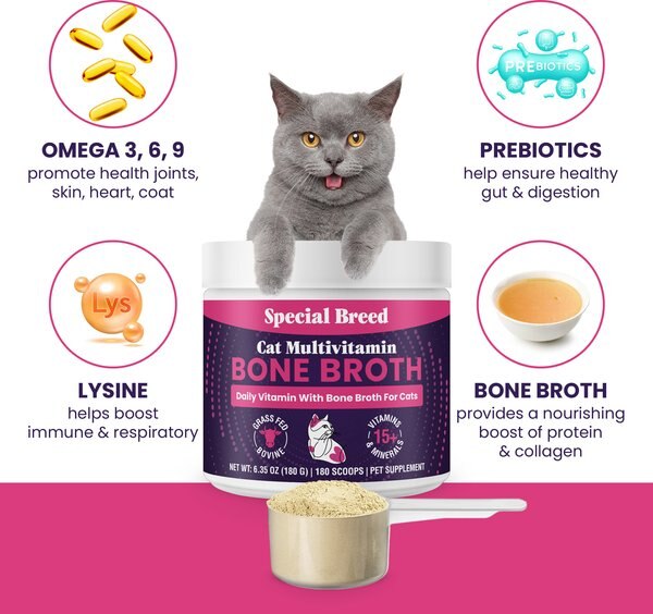 Special Breed Bone Broth Beef & Mushroom Flavored Supplement for Dogs & Cats