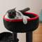Show in main carousel: KAMABOKO Gothic 34.2-in Cat Tree with Coffin Bed, Black slide 3 of 6