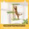 Show in main carousel: KAMABOKO 6 Pieces Hammock Wall-Mounted Shelves Climber Set Cat Tree with Bed, Green slide 5 of 7