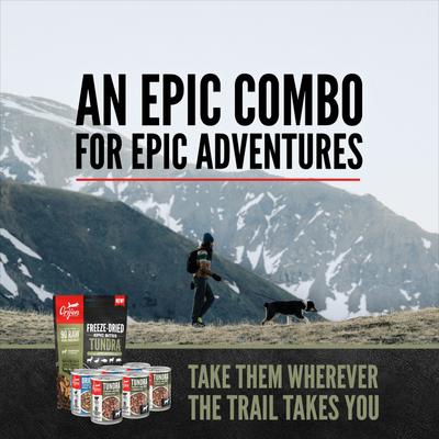 Show full view: ORIJEN Tundra Epic Bites Freeze-Dried Dry Food, 6-oz bag + Tundra & Original Variety Pack Real Meat Shreds Wet Dog Food, 12.8-oz can, case of 6 slide 4 of 9