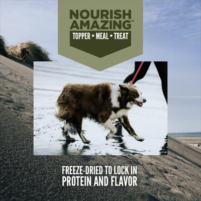 Show full view: ORIJEN Tundra Epic Bites Freeze-Dried Dry Food, 6-oz bag + Tundra & Original Variety Pack Real Meat Shreds Wet Dog Food, 12.8-oz can, case of 6 slide 3 of 9