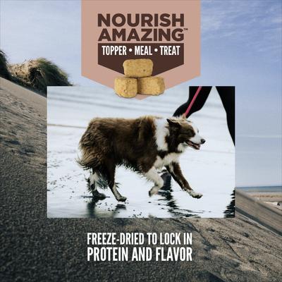 Show full view: ORIJEN Regional Red Epic Bites Freeze-Dried Dry Food, 6-oz bag + Regional Red Grain-Free High-Protein Freeze-Dried Dog Treats, 1.5-oz bag slide 3 of 9