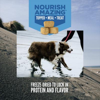 Show full view: ORIJEN Original Epic Bites Freeze-Dried Dry Food, 6-oz bag + Original Grain-Free Freeze-Dried Dog Treats, 1.5-oz bag slide 3 of 9