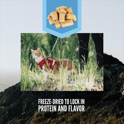 Show full view: ORIJEN Six Fish Grain-Free Freeze-Dried Treats, 1.25-oz bag + Premium Regional Red Entrees Variety Pack Tuna Salmon & Beef Pate Wet Cat Food, 3-oz can, case of 12 slide 3 of 9