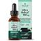 Show in main carousel: Pet Releaf Ultra Releaf Liposome 100-mg Full Spectrum Hemp Extract Oil Liquid Calming Supplement for Small Dogs & Cats, 1-fl oz bottle slide 1 of 5