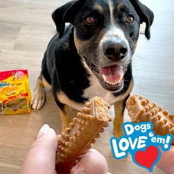 Nylabone Nubz Adult Bacon & Cheese Flavor Bursts Dog Chew Treats, Large, 20 count slide 2 of 9