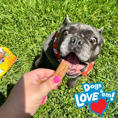 Show full view: Nylabone Nubz Adult Bacon & Cheese Flavor Bursts Dog Chew Treats, Small, 8 count slide 4 of 11