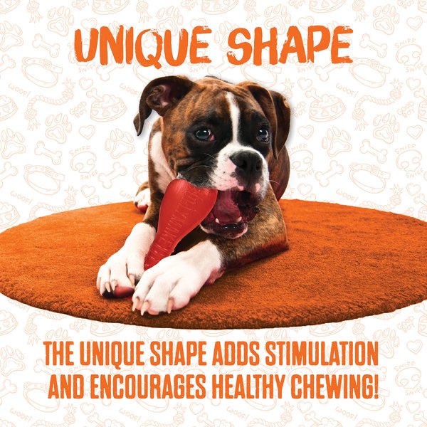 Are Bullymake Toys Safe for Dogs: Essential Safety Insights
