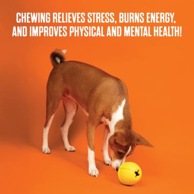 Show full view: BULLYMAKE Keg Dog Toy, Orange slide 4 of 11