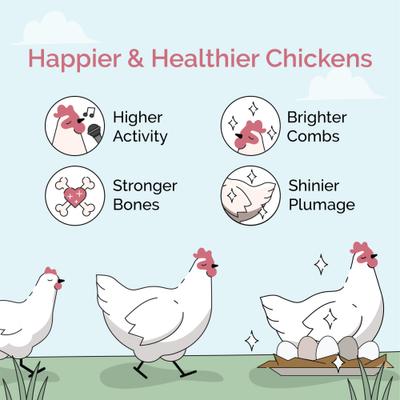 Show full view: Mile Four Organic 18% Protein Mash Grower Chicken & Duck Feed, 23-lb bag slide 4 of 10