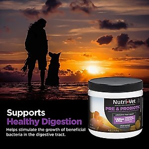 Nutri-Vet Pre & Probiotics Soft Chews Digestive Supplement for Dogs, 120 count