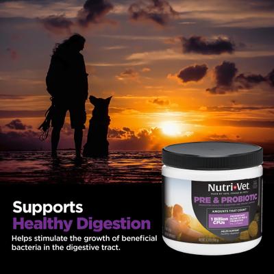Show full view: Nutri-Vet Pre & Probiotics Soft Chews Digestive Supplement for Dogs, 120 count slide 4 of 9