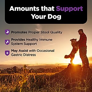 Nutri-Vet Pre & Probiotics Soft Chews Digestive Supplement for Dogs, 120 count