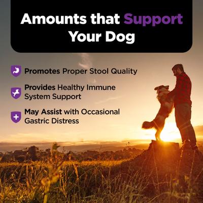 Show full view: Nutri-Vet Pre & Probiotics Soft Chews Digestive Supplement for Dogs, 120 count slide 7 of 9