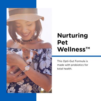 Show full view: Nutri-Vet Powder Milk Supplement for Dogs, 12-oz slide 5 of 10