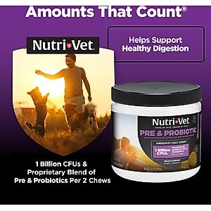 Nutri-Vet Pre & Probiotics Soft Chews Digestive Supplement for Dogs, 120 count