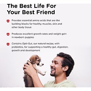 Nutri-Vet Powder Milk Supplement for Dogs, 12-oz