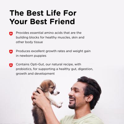 Show full view: Nutri-Vet Powder Milk Supplement for Dogs, 12-oz slide 6 of 10