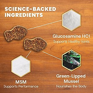 VetriScience GlycoFlex 3 Extra Strength Healthy Hip & Joint Chicken Flavored Chews with Glucosamine & Green-Lipped Mussel Supplement for Cats, 60 count
