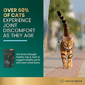 VetriScience GlycoFlex 3 Extra Strength Healthy Hip & Joint Chicken Flavored Chews with Glucosamine & Green-Lipped Mussel Supplement for Cats, 60 count