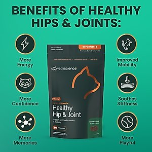 VetriScience GlycoFlex 3 Extra Strength Healthy Hip & Joint Chicken Flavored Chews with Glucosamine & Green-Lipped Mussel Supplement for Cats, 60 count