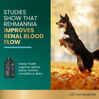 Show full view: VetriScience Renal Essentials Kidney Health Smoke Flavored Chewable Tablets Supplement for Dogs, 60 count slide 6 of 10