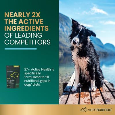 Show full view: VetriScience Canine Plus 27+ Active Health Veggie Flavored Chews Daily Multivitamin Supplement for Dogs, 30 count slide 3 of 10