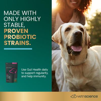 Show full view: VetriScience Probiotic Everyday Gut Health Duck Flavored Chews Probiotic Supplement for Dogs, 45 count slide 3 of 10