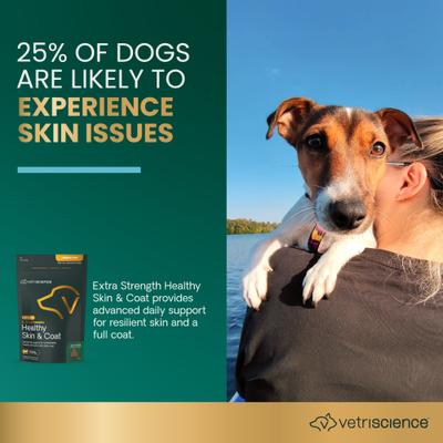 Show full view: VetriScience Omega Plus Extra Strength Healthy Skin & Coat Duck Flavored Chews Omega-3 Supplement for Dogs, 40 count slide 4 of 10