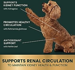 VetriScience Renal Essentials Kidney Health Smoke Flavored Chewable Tablets Supplement for Dogs, 60 count slide 2 of 8