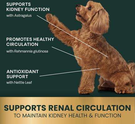 Show full view: VetriScience Renal Essentials Kidney Health Smoke Flavored Chewable Tablets Supplement for Dogs, 60 count slide 3 of 10