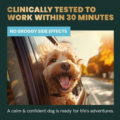 Show full view: VetriScience Composure Calm & Confident Clinically Tested Peanut Butter Flavored Chews Calming & Anxiety Supplement for Dogs, 120 count slide 6 of 11