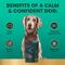 Show in main carousel: VetriScience Composure Calm & Confident Clinically Tested Peanut Butter Flavored Chews Calming & Anxiety Supplement for Dogs, 120 count slide 7 of 11