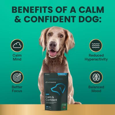 Show full view: VetriScience Composure Calm & Confident Clinically Tested Peanut Butter Flavored Chews Calming & Anxiety Supplement for Dogs, 120 count slide 7 of 11