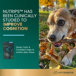 VetriScience Golden Years Senior Calm & Confident Chicken Flavored Chews with Colostrum Calming & Brain Health Supplement for Senior Dogs, 60 count slide 2 of 8