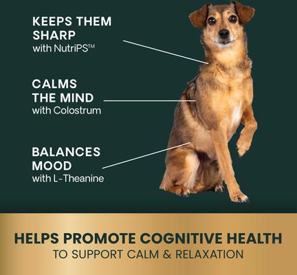 Show full view: VetriScience Golden Years Senior Calm & Confident Chicken Flavored Chews with Colostrum Calming & Brain Health Supplement for Senior Dogs, 60 count slide 5 of 10