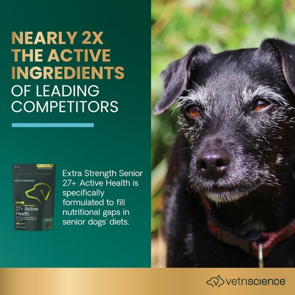 VetriScience Golden Years Energize & Thrive Extra Strength Senior 27+ Active Health Chicken Flavored Chews Multivitamin Supplement for Senior Dogs, 60 count