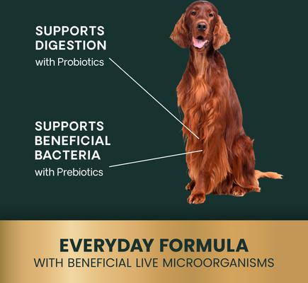 Show full view: VetriScience Probiotic Everyday Gut Health Duck Flavored Chews Probiotic Supplement for Dogs, 45 count slide 5 of 10